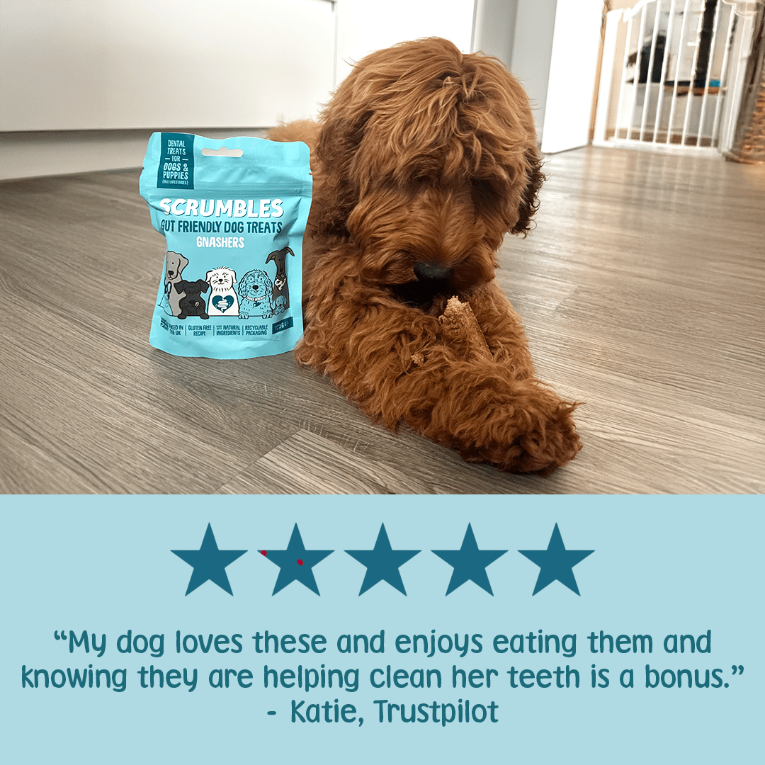 Gnashers Dental Dog Treats Review
