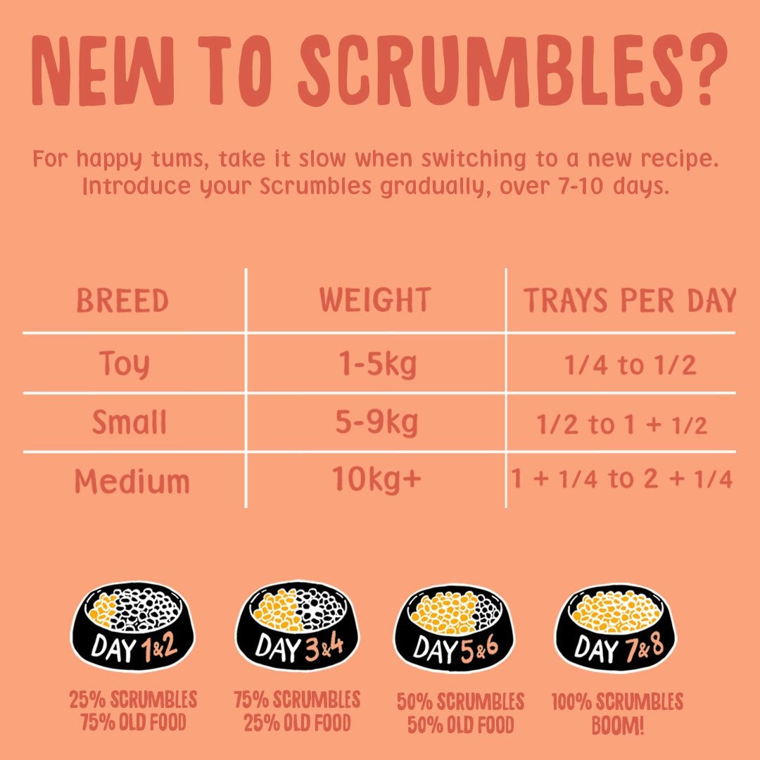 Duck Wet Dog Food Feeding