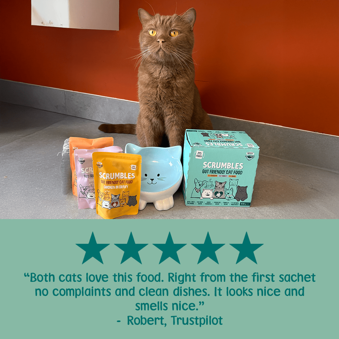 Wet Cat Pouches Gravy Selection Review