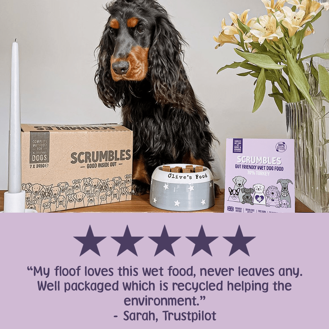 Turkey Wet Dog Food Review