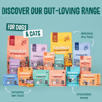 scrumbles meat in gravy cat food hypoallergenic grain free gluten free kittens pouches 