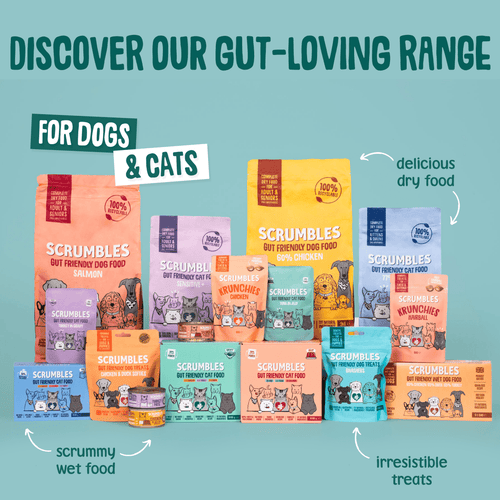 scrumbles meat in gravy cat food hypoallergenic grain free gluten free kittens pouches 