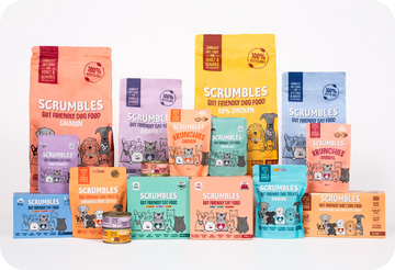 40 Small Dog Breeds | Scrumbles – Scrumbles: Natural Pet Food
