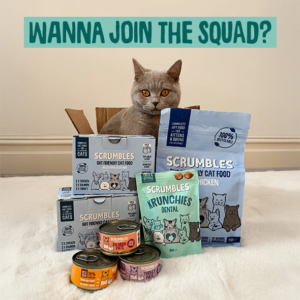 Scrumbles: Natural Pet Food