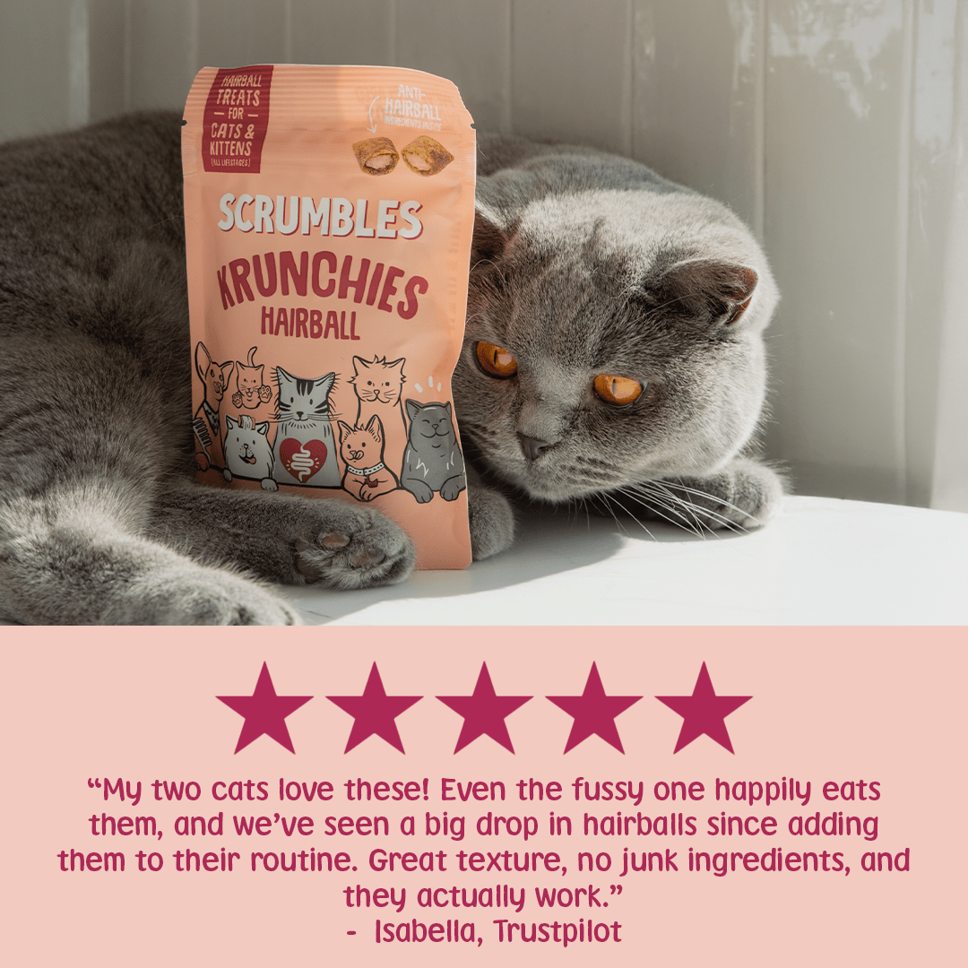 Hairball Krunchies Cat Treats Review