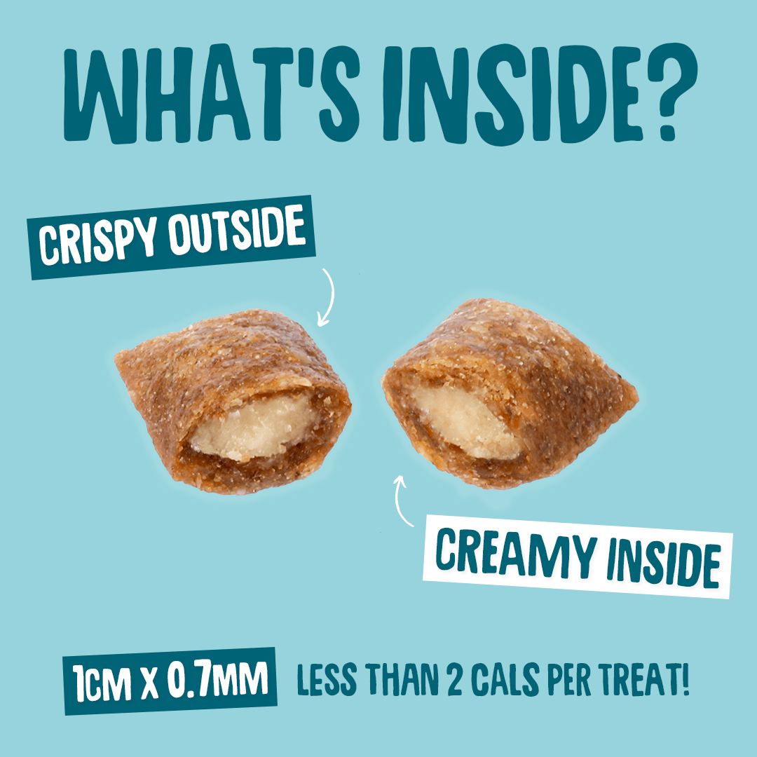 Dental Krunchies Cat Treats Texture