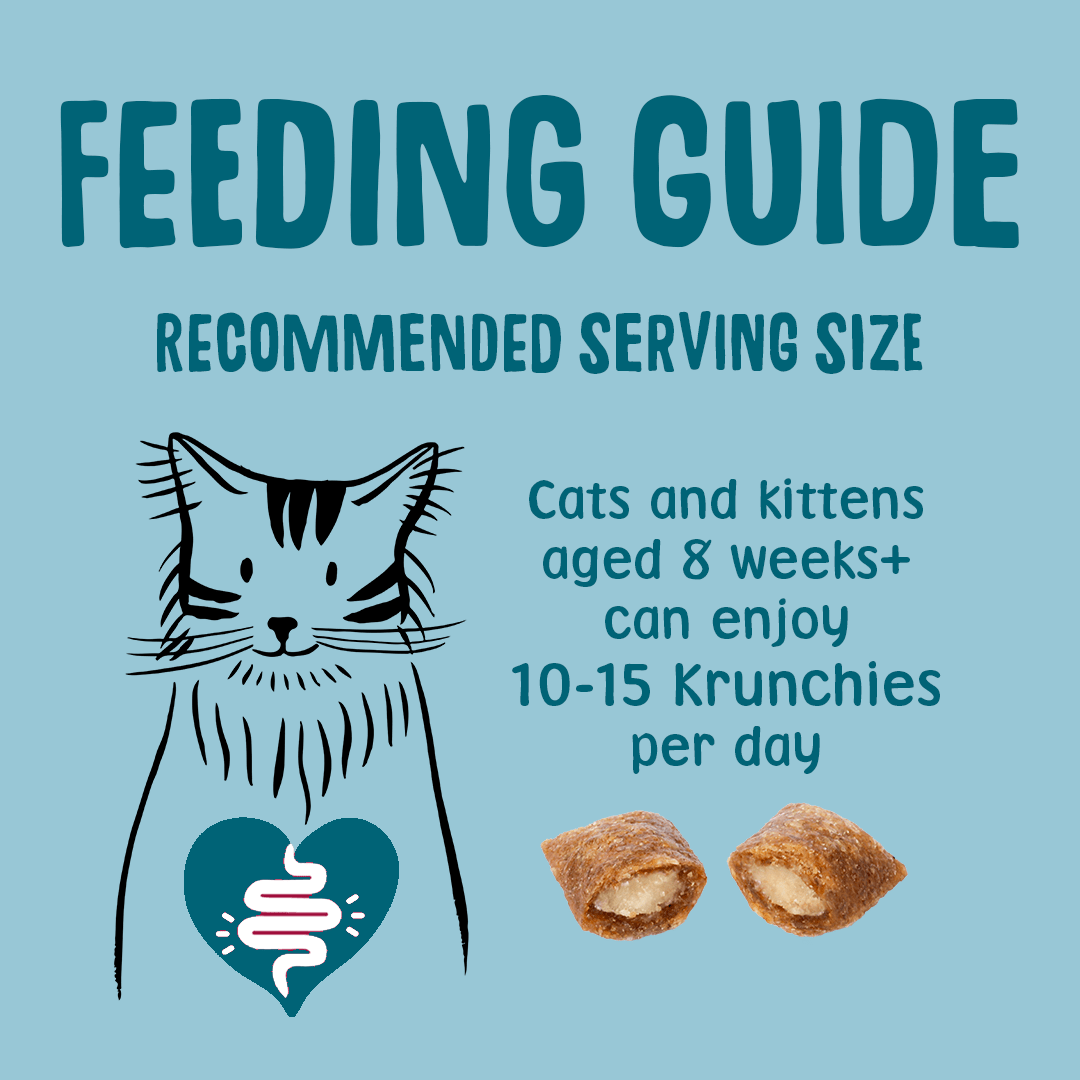 Dental Krunchies Cat Treats Feeding