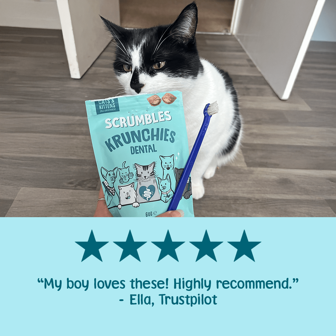 Dental Krunchies Cat Treats Review