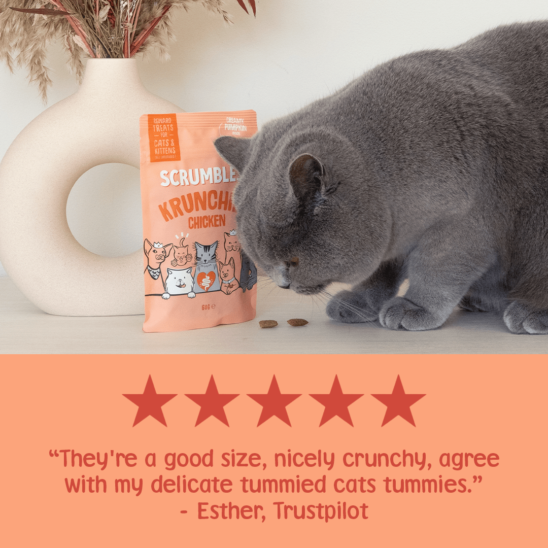 Chicken Krunchies Cat Treats Review