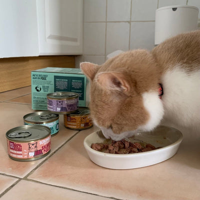 scrumbles-jelly-cat-food-classic-meat-fish-selection-box-grain-free-high-protein-hypoallergenic-tin