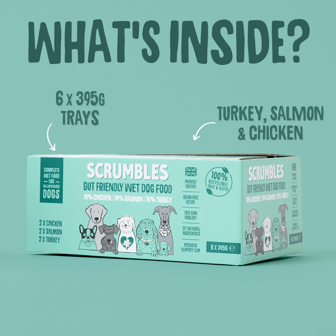 Poultry & Fish Selection Wet Dog Food