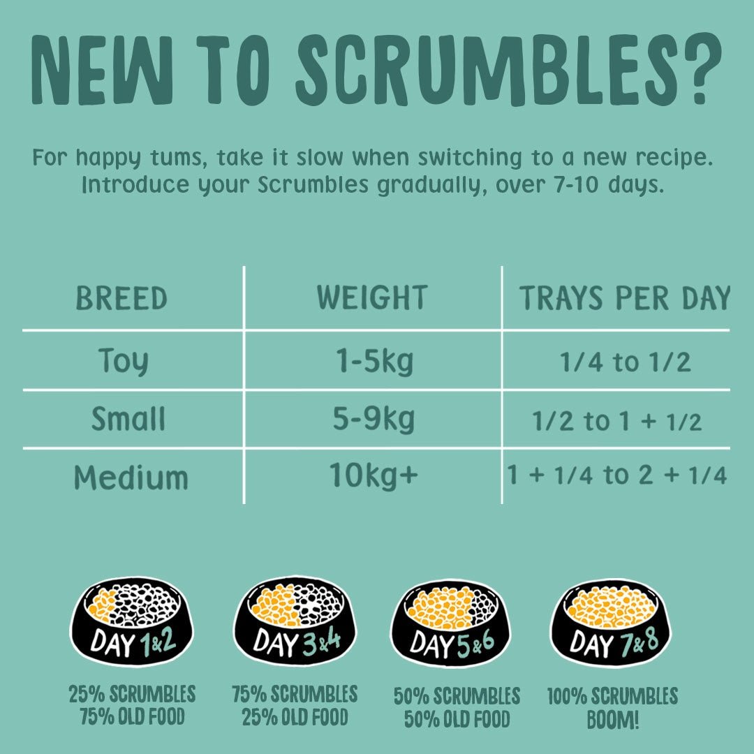 Poultry & Fish Selection Wet Dog Food Feeding