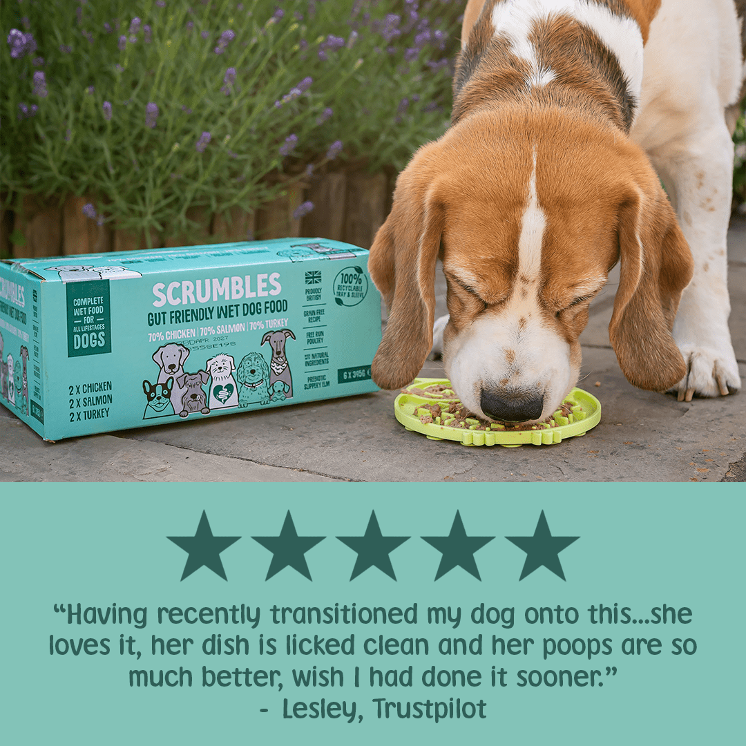 Poultry & Fish Selection Wet Dog Food Review
