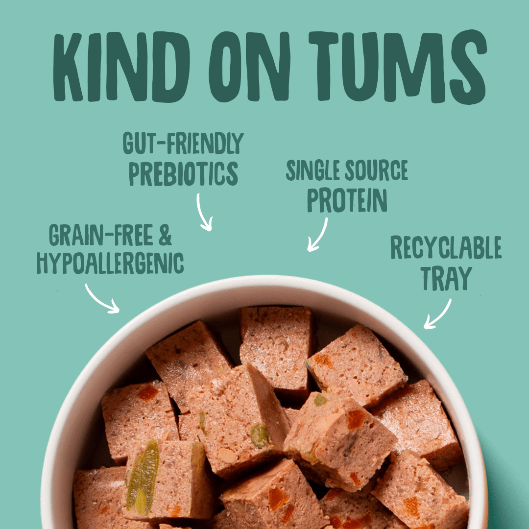 Poultry & Fish Selection Wet Dog Food Gut Friendly