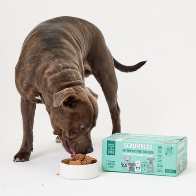 grain-free-wet-dog-food-scrumbles-wet-dog-food-adult-dog-food-gluten-free-dog-food-grain-free-dog-food-hypoallergenic-puppy-1