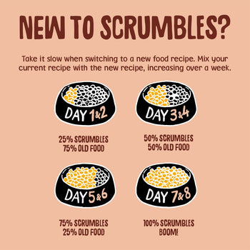 meat-in-jelly-cat-food-pouches-grain-free-hypoallergenic-no-added-sugar