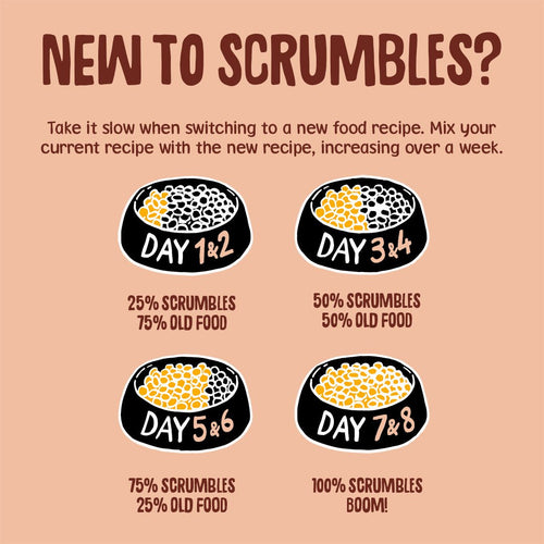 meat-in-jelly-cat-food-pouches-grain-free-hypoallergenic-no-added-sugar