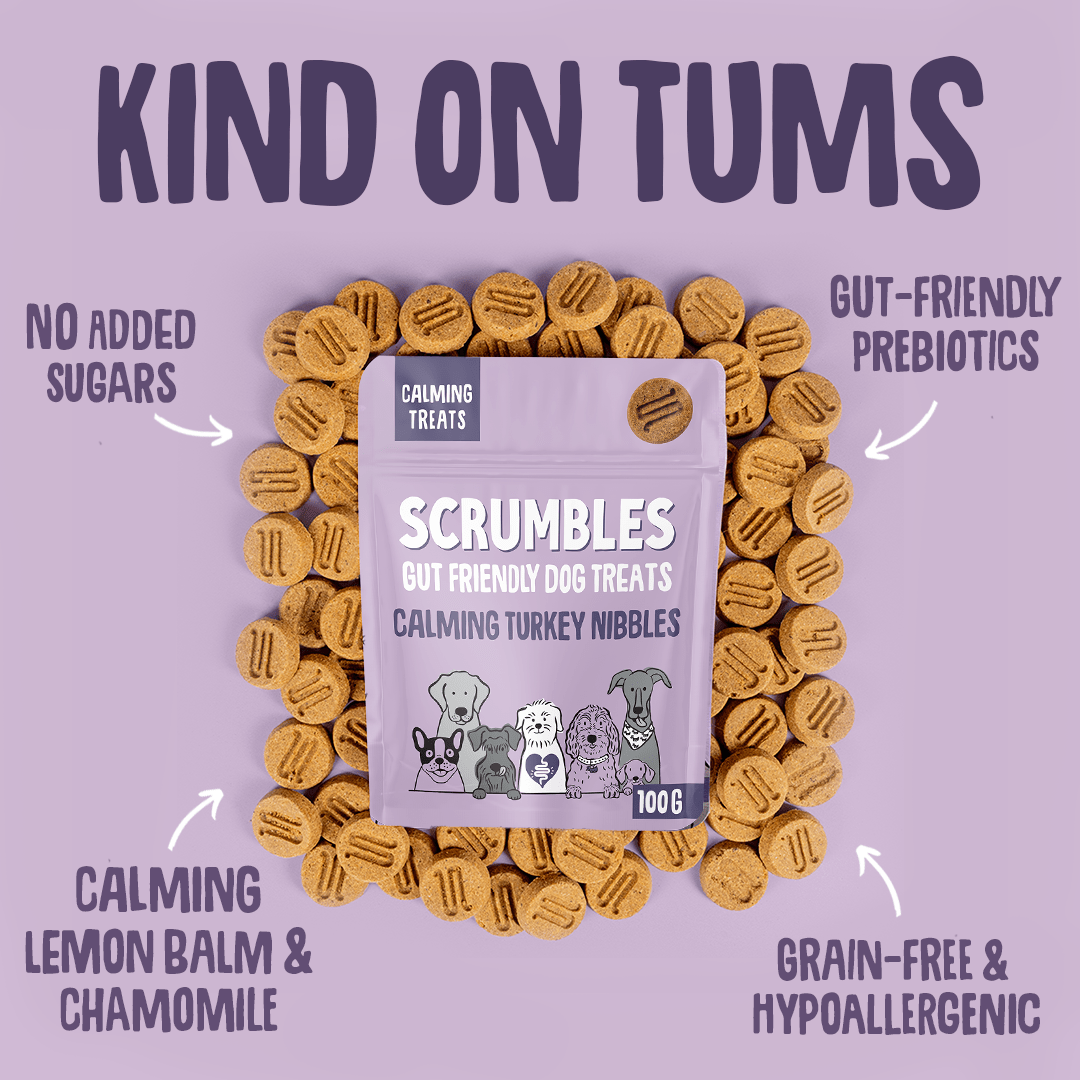 Calming Turkey Nibbles Dog Treats Gut Friendly