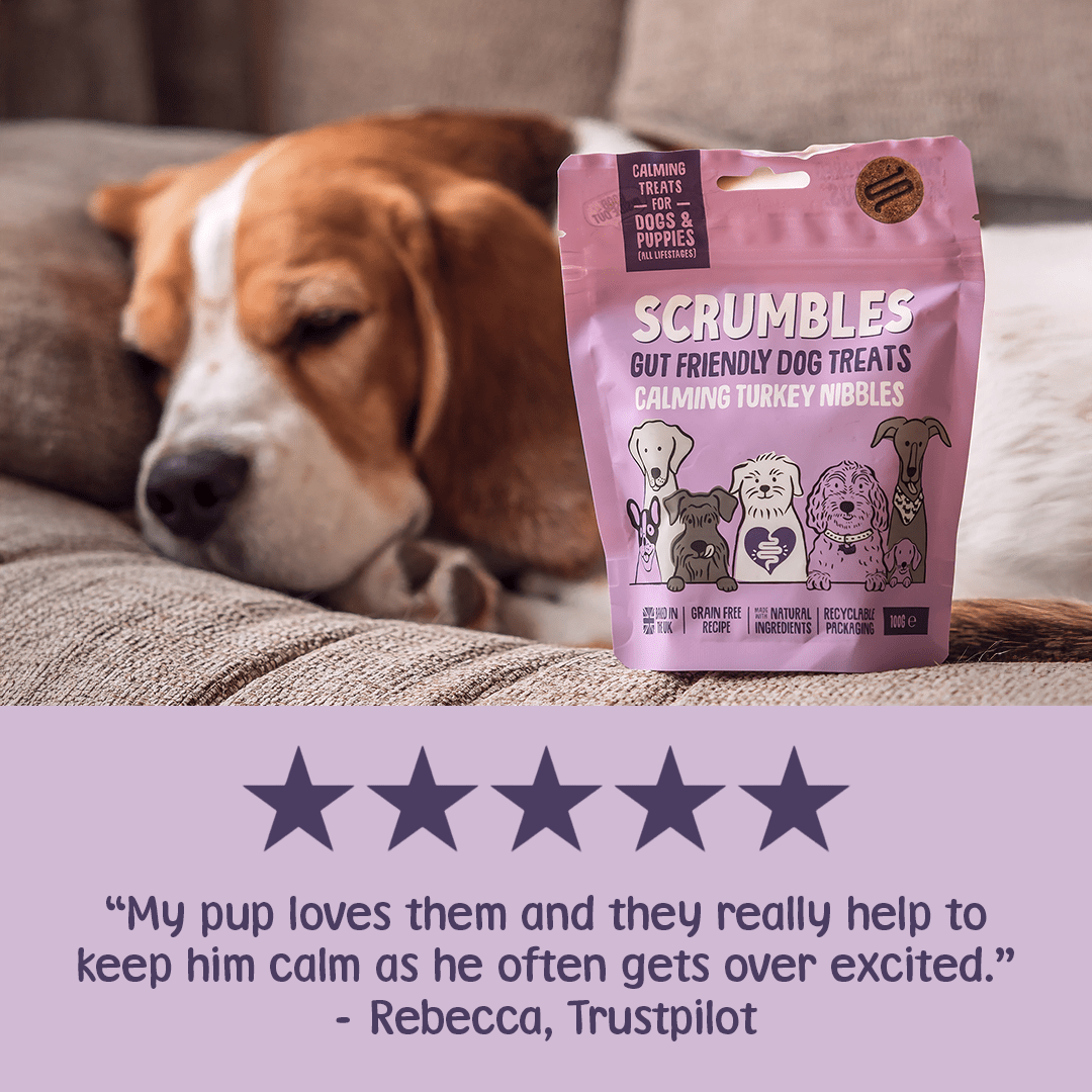 Calming Turkey Nibbles Dog Treats Review