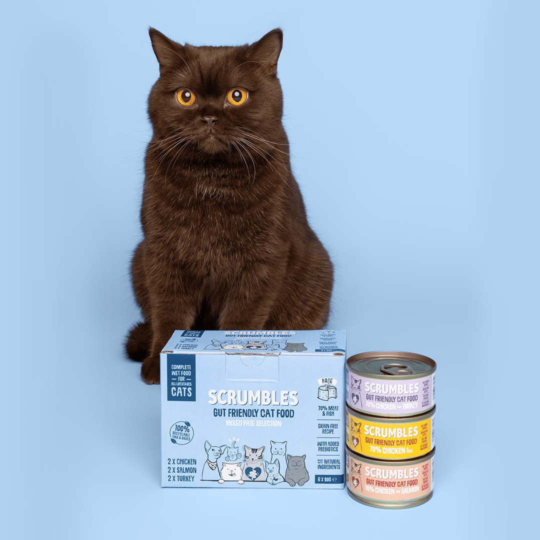 Wet Cat Tins Pate Selection