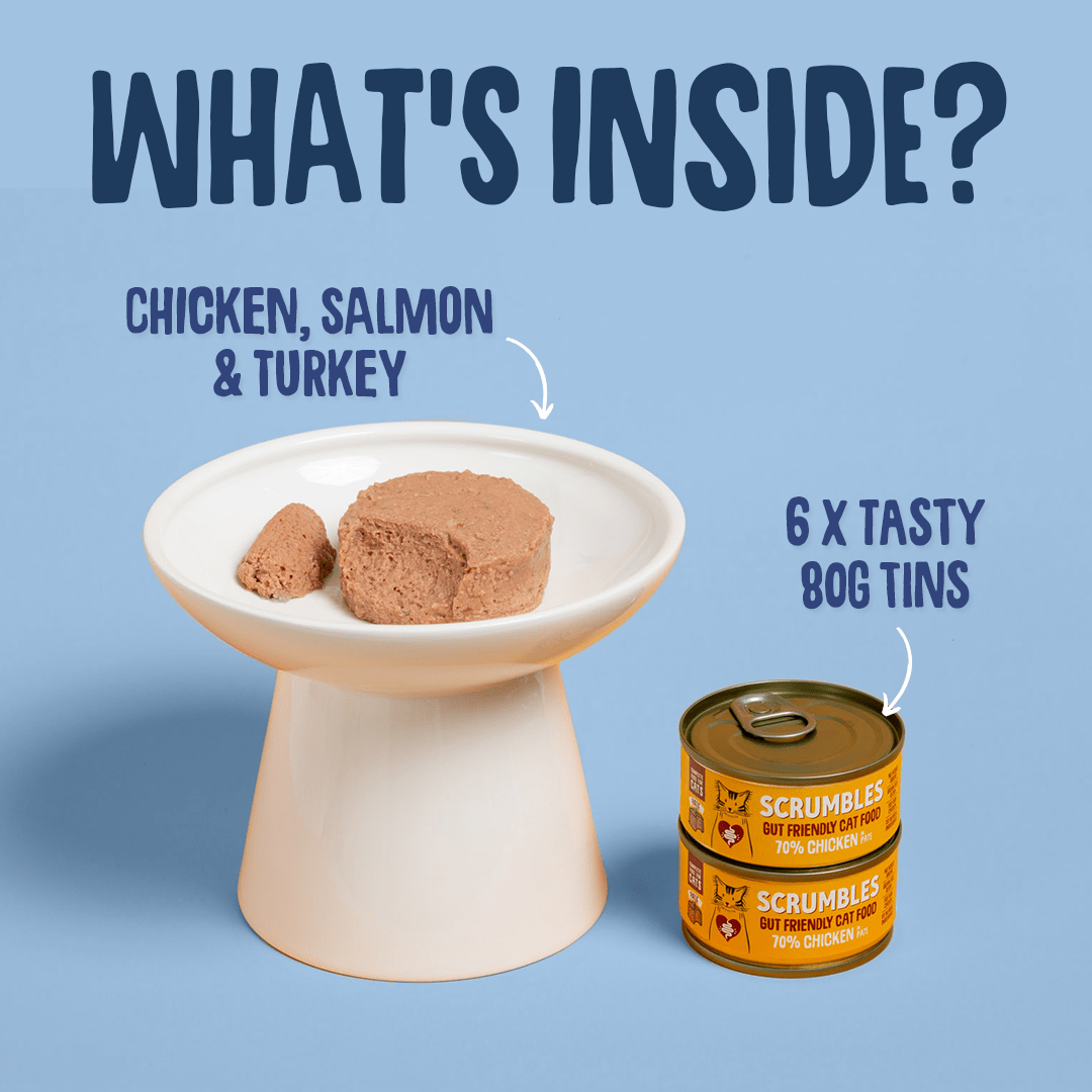 Wet Cat Tins Pate Selection Texture