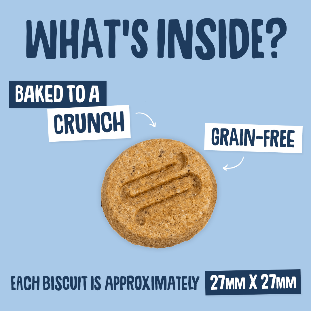 Postbiotic Nibbles Dog Treats Size