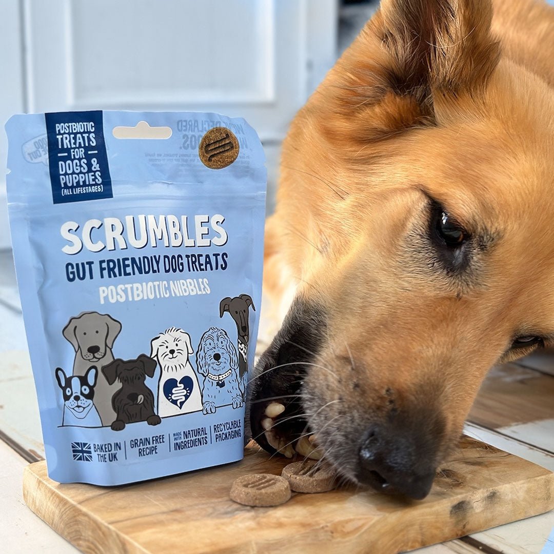 Postbiotic Nibbles Dog Treats