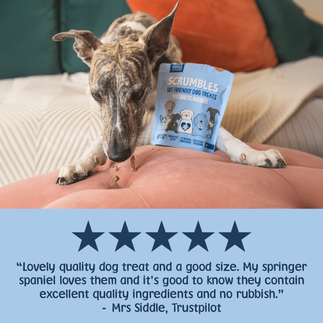 Postbiotic Nibbles Dog Treats Review