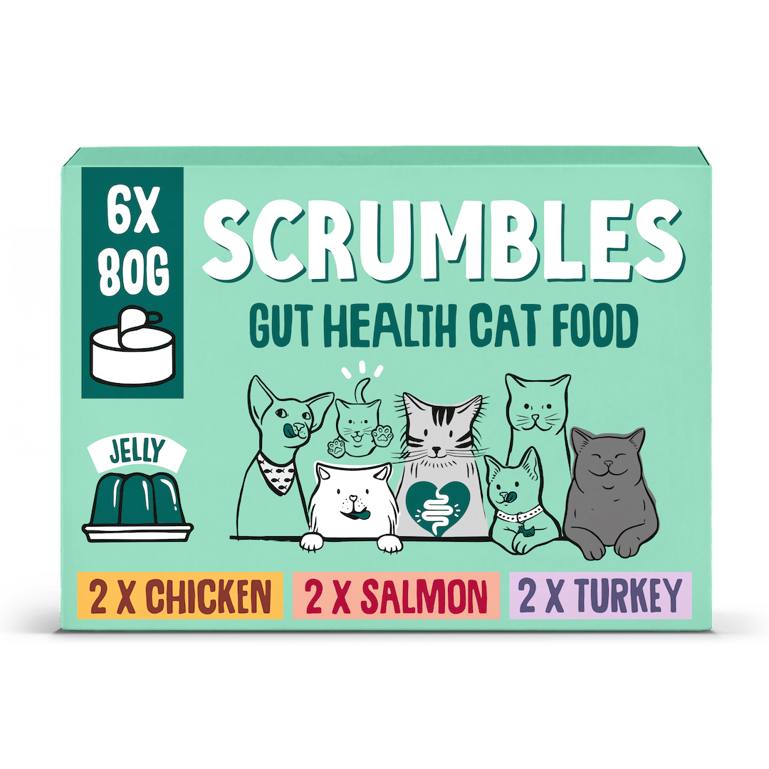 Wet Cat Tins Jelly Selection