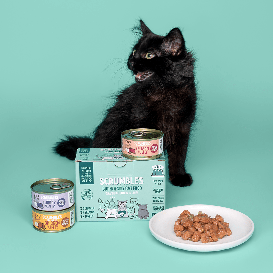 Wet Cat Tins Jelly Selection Selection