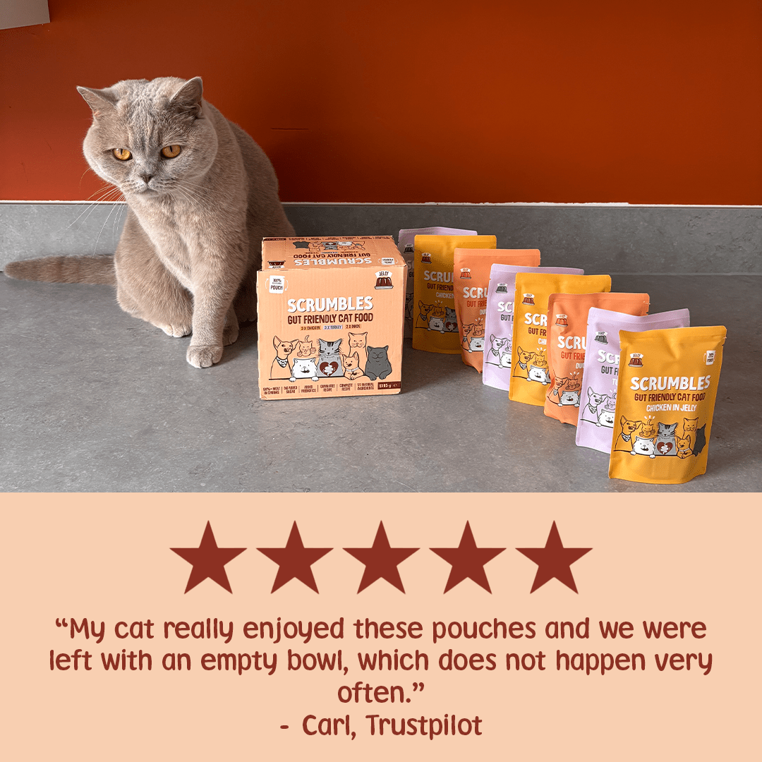 Wet Cat Pouches Poultry in Jelly Review