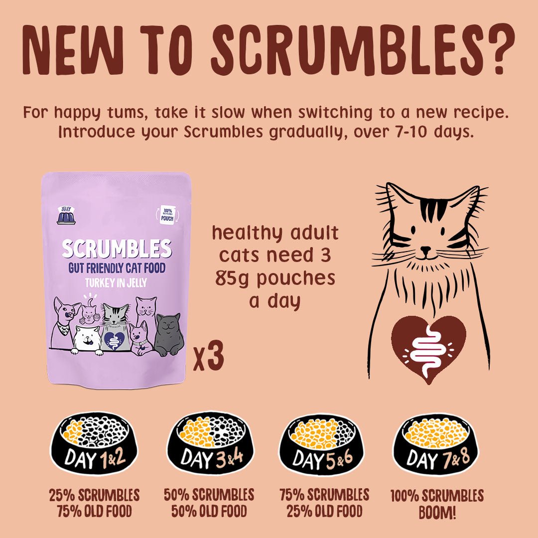 Wet Cat Pouches Poultry in Jelly Feeding