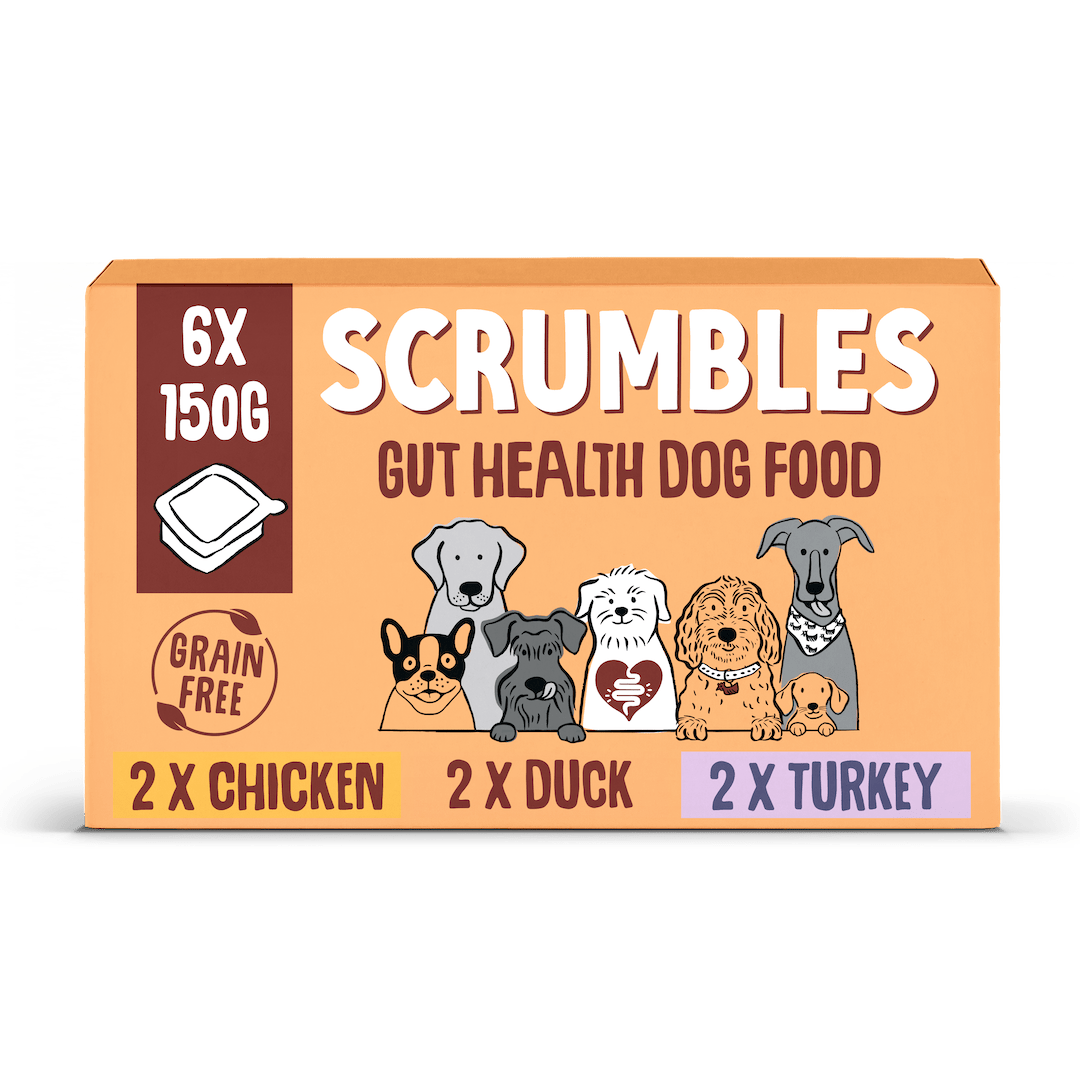 Wet dog food variety pack 150g