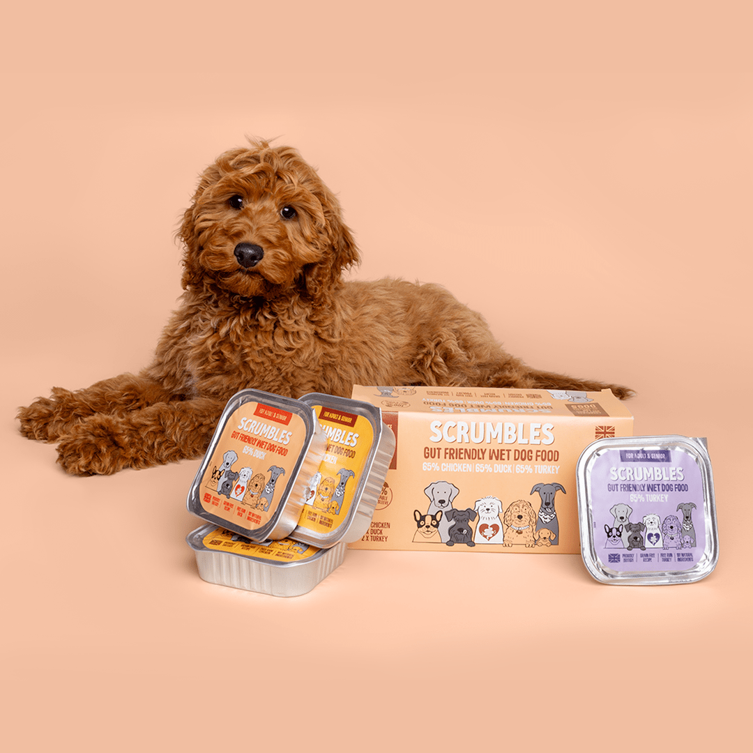 Poultry Selection 150g Wet Dog Food