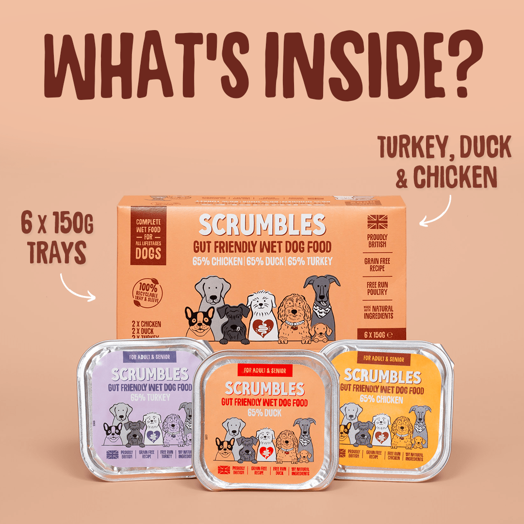 Poultry Selection 150g Wet Dog Food