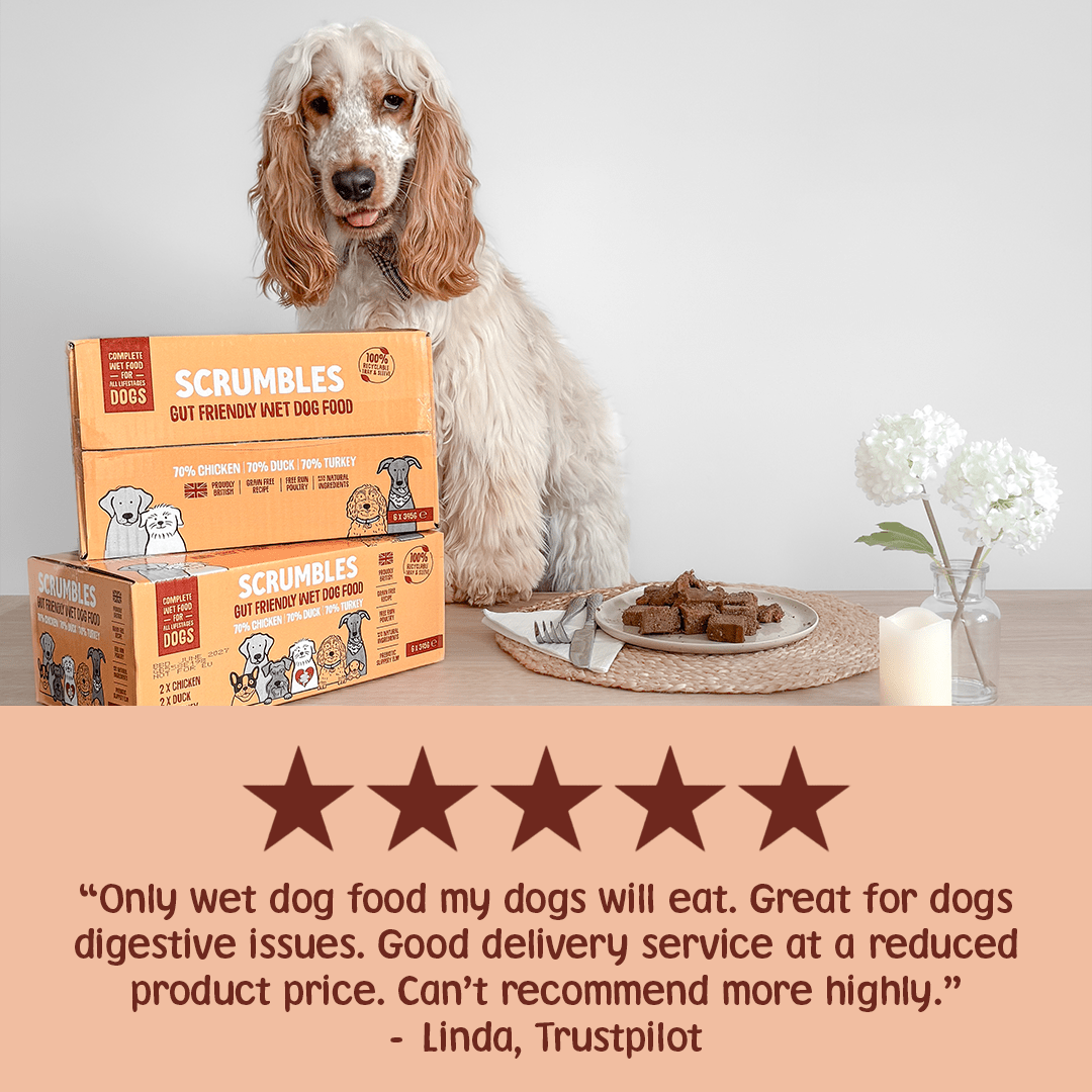 Poultry Wet Dog Food Multipack Review