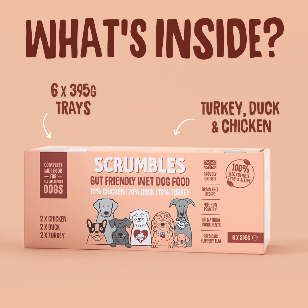 Poultry Wet Dog Food Multipack