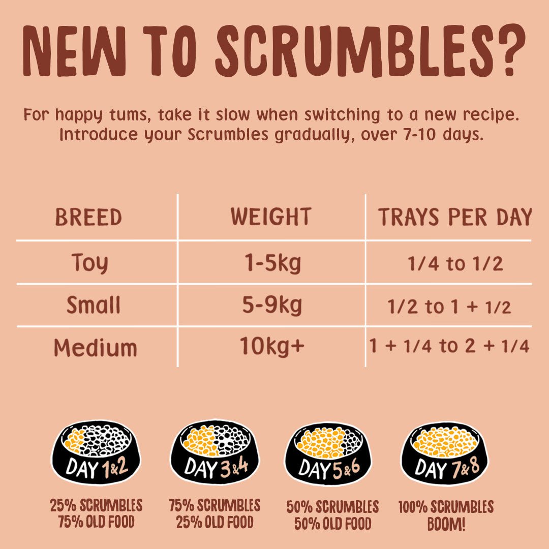 Poultry Wet Dog Food Multipack Feeding