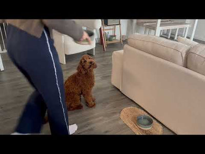 Puppy & Toy Dry Dog Food Testimonial