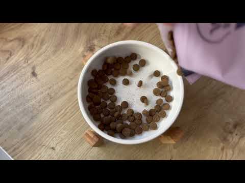 Turkey Dry Dog Food Testimonial