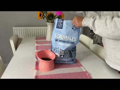 Kittens & Queens Dry Cat Food Testimonial