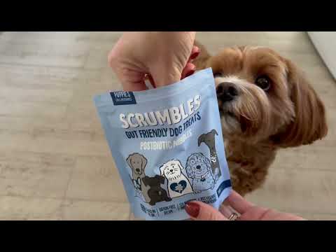 Postbiotic Nibbles Testimonial