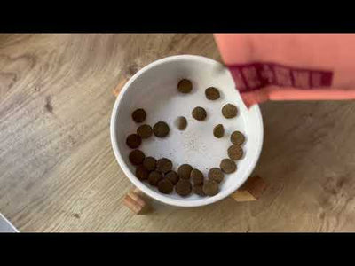 Salmon Dry Dog Food Testimonial