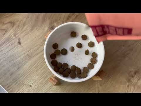 Salmon Dry Dog Food Testimonial