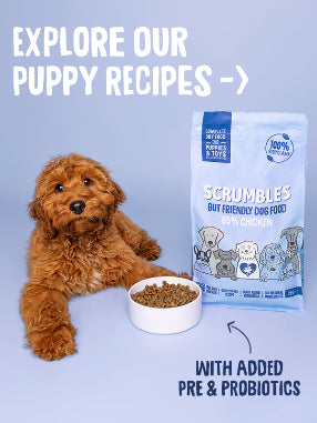 puppy food