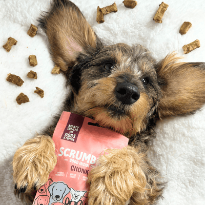 Salmon Chonks Fish Treats For Dogs Scrumbles