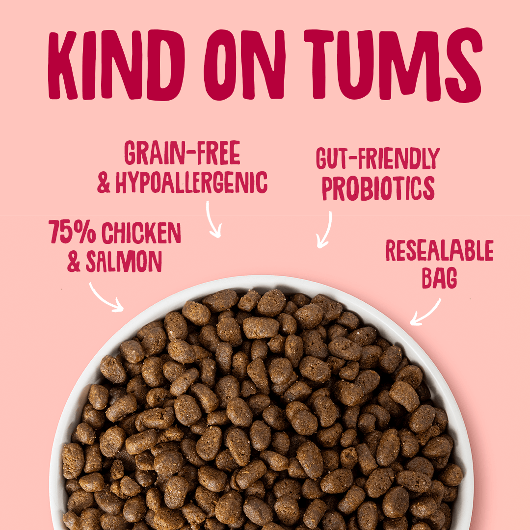 Chicken & Salmon Dry Cat Food Gut Friendly