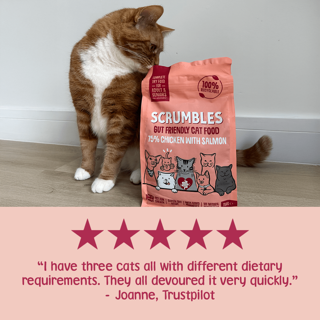 Chicken & Salmon Dry Cat Food Review