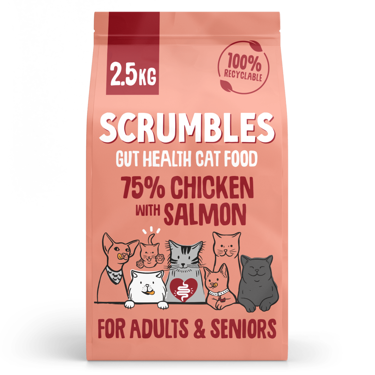 Chicken & Salmon Dry Cat Food