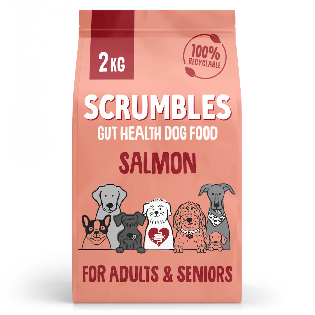 Salmon Dry Dog Food Ingredients